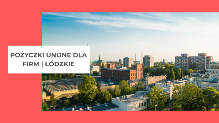 widok na miasto Łódź. BUdynki, fabryki