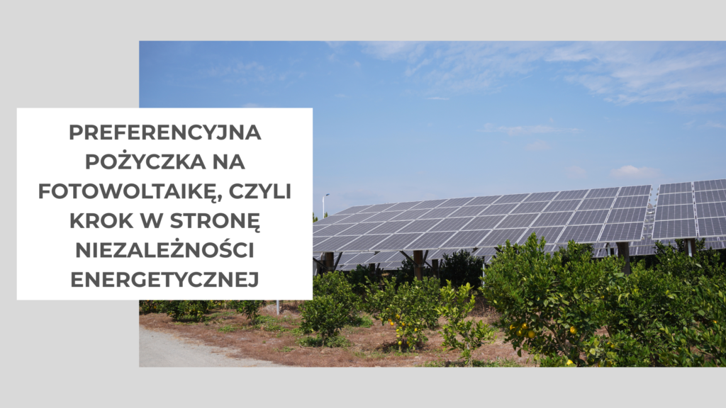 panele fotowoltaiczne ustawione wśród krzewów